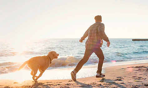 Hombre con su perro en la playa