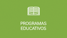 Link icon Educational programs