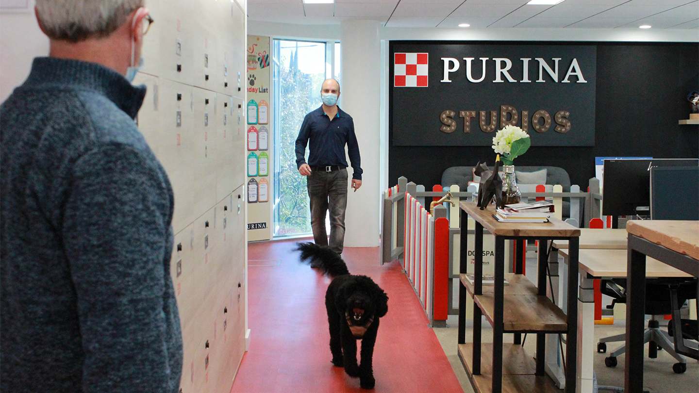 Adiestrador de perros en Purina