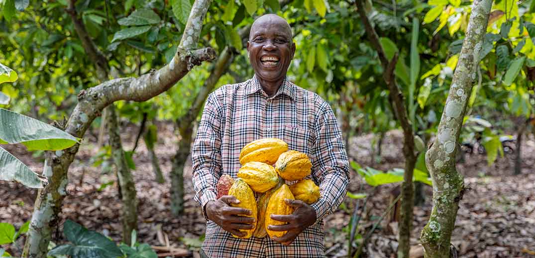 hombre con granos de cacao en la mano