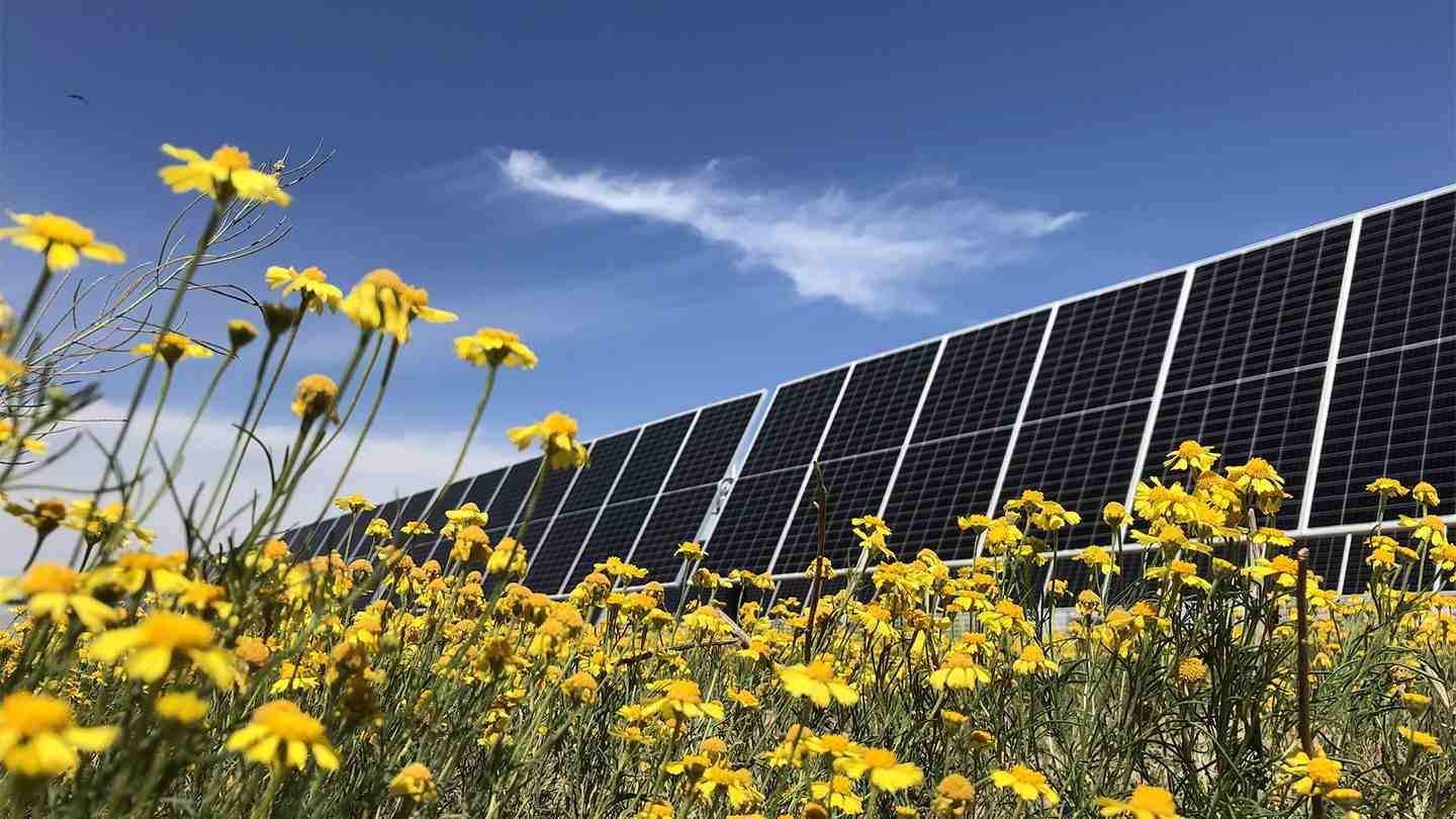 Parque fotovoltaico Nestlé