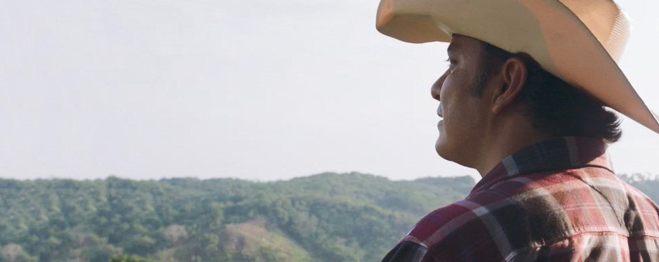 Hombre mirando al horizonte