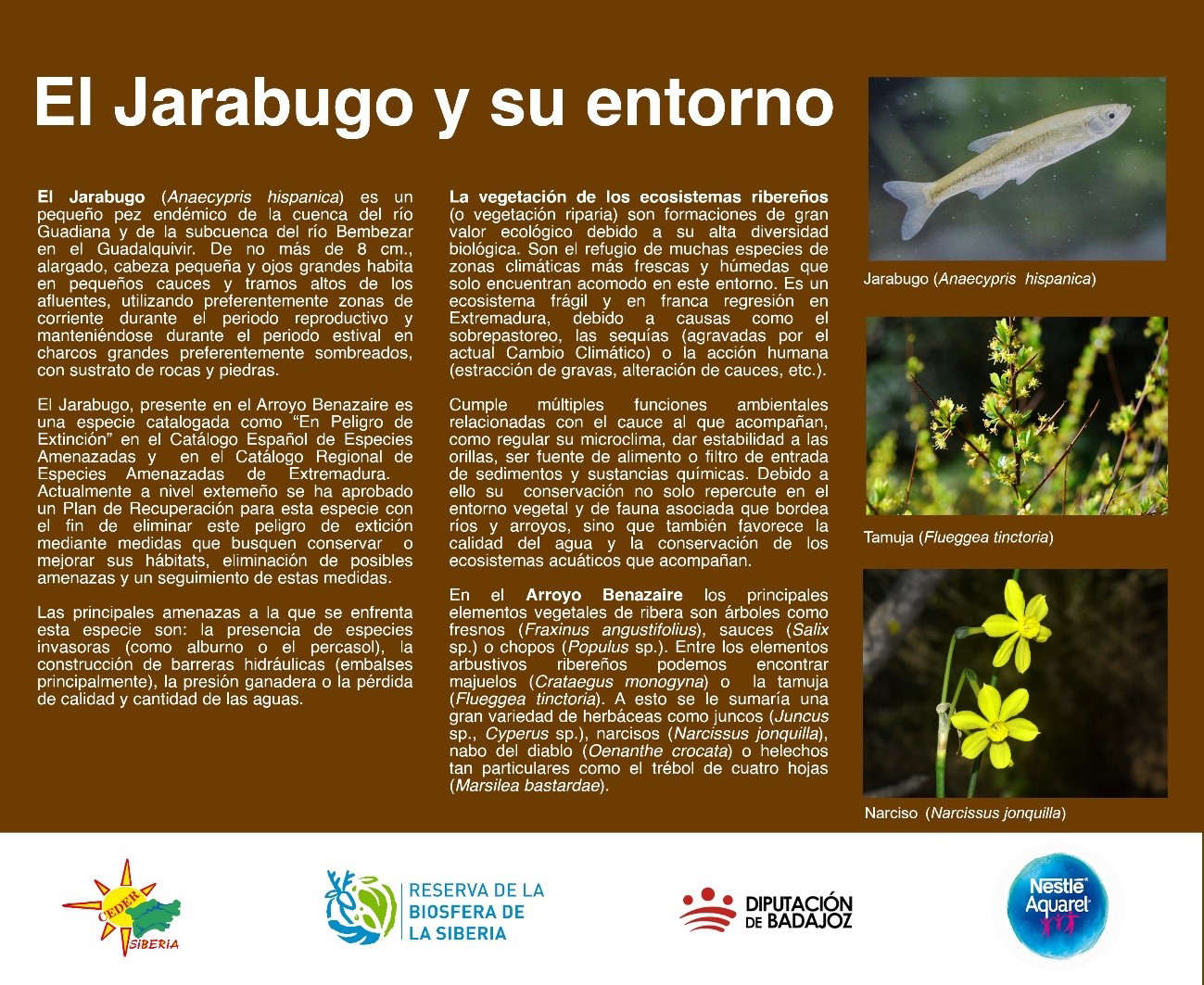 El Jarabugo y su entorno