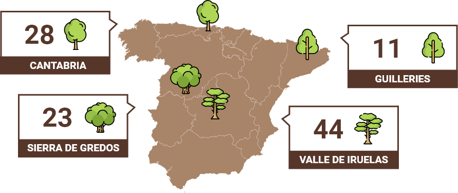 Mapa áreas de reforestación Purina