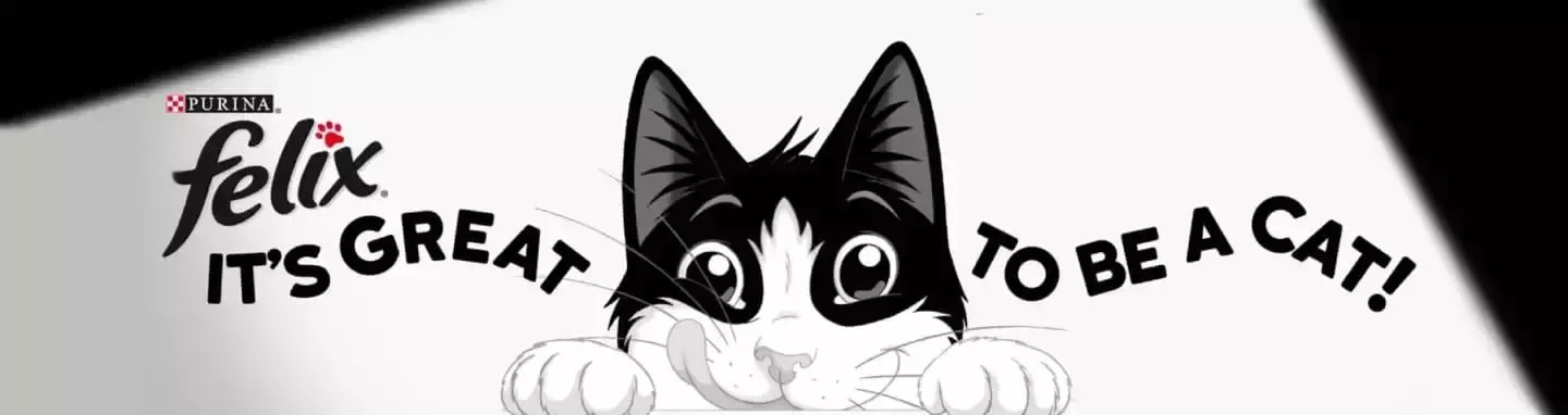 Felix header