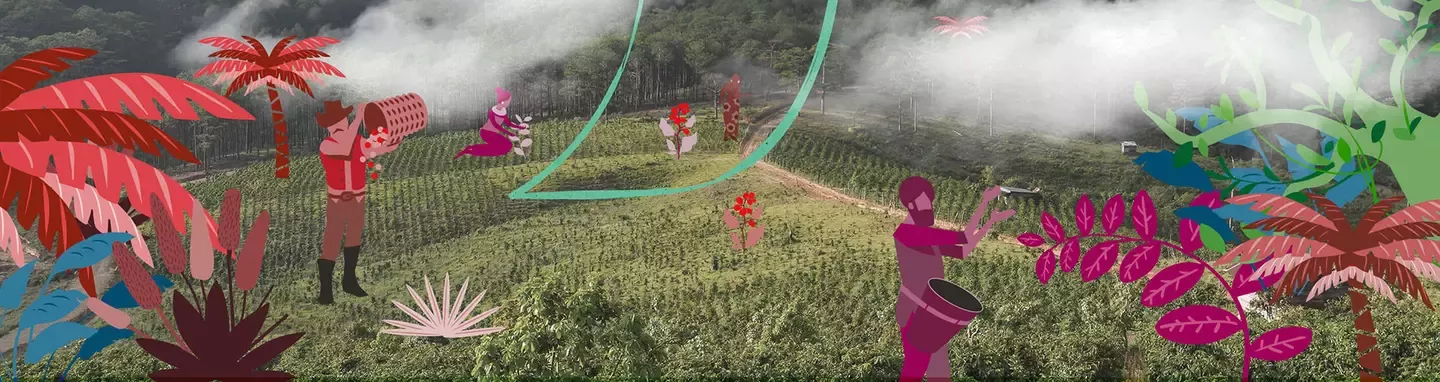 Nescafé Farmers Origin