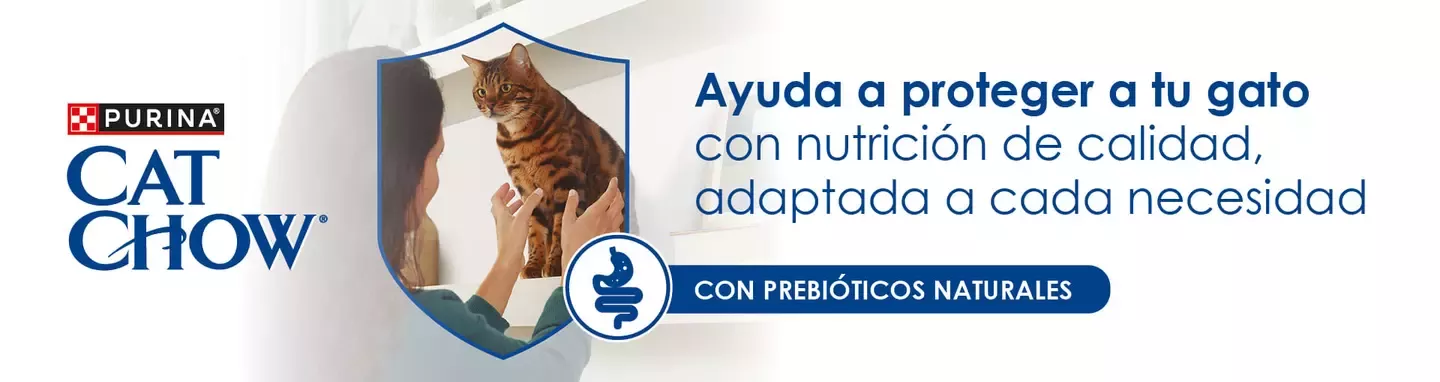 Cat Chow ayuda a poreteger a tu gato