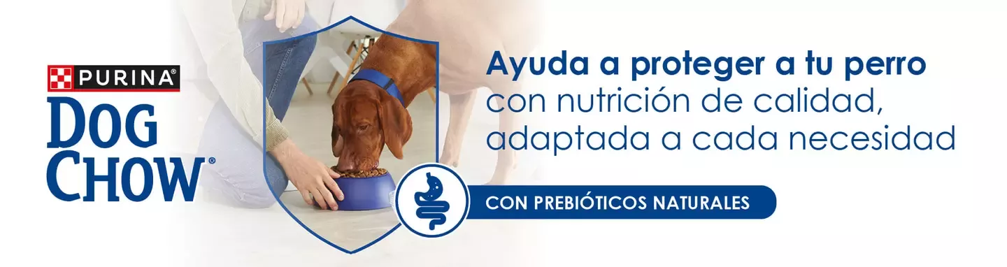 Dog Chow ayuda a proteger a tu perro