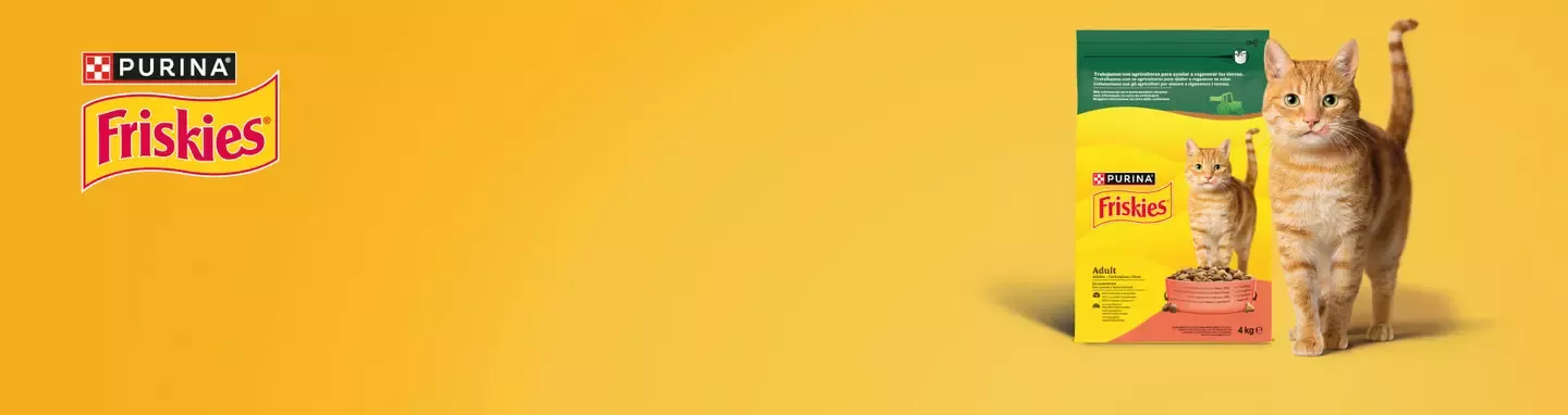 Banner Friskies 