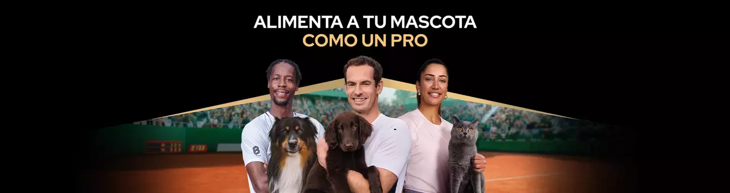 Banner Pro plan