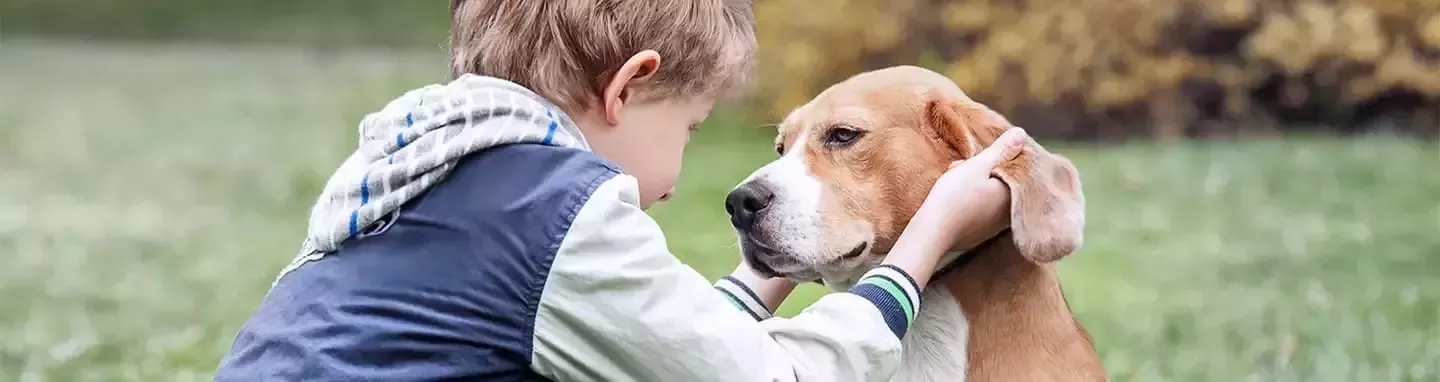 Un chico jugando con un perro