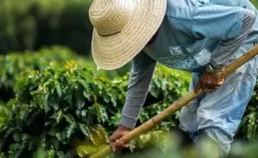 Agricultor treballant en el camp