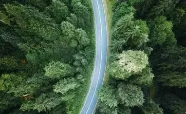 Camí a través del bosc 
