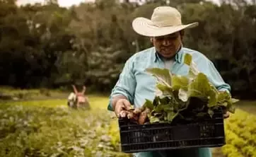 Agricultor transportant plantes