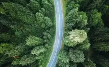Carretera que travessa un bosc