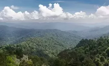 Defensa del clima i canvi positiu