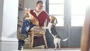 Hombre mayor con perro y gato