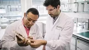 Científicos trabajando