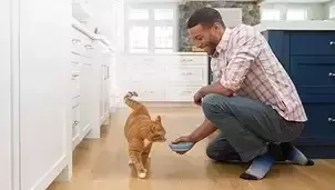 Hombre dando de comer a un gato