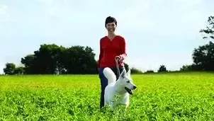 Mujer paseando con su perro