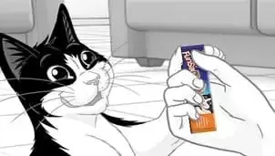 Gato Felix