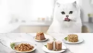 Productos Gourmet