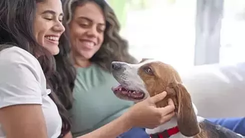 Mujer y perro