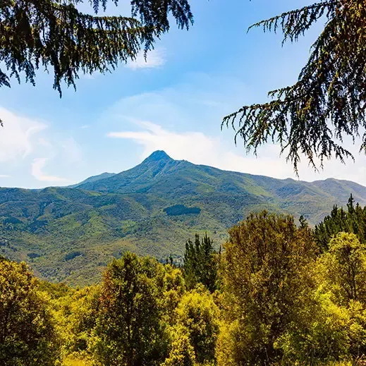 Paisaje de montaña