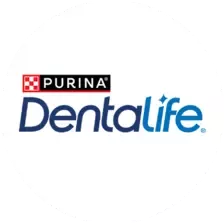 Dentalife logo