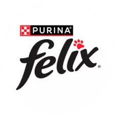Logo Felix