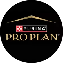 Logo Pro Plan
