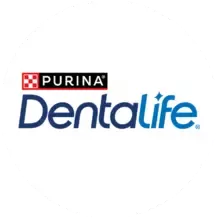 Dentalife logo