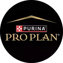 Logo Pro Plan