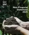 Portada de la Declaración no financiera de 2025