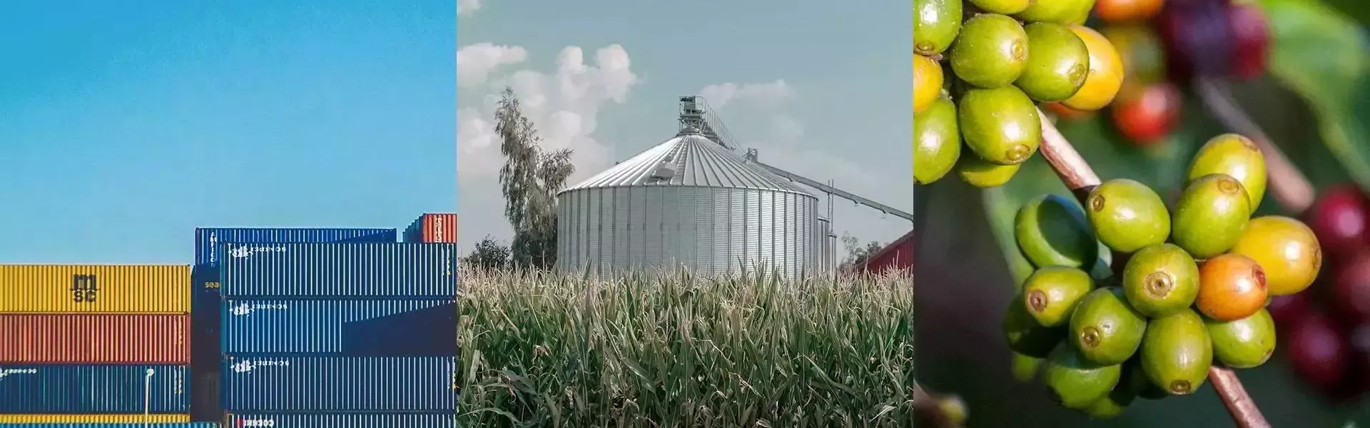 Proveedores Nestlé España