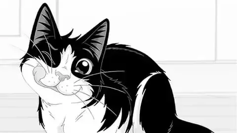 Felix