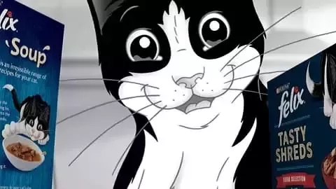 Felix