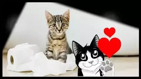 Felix