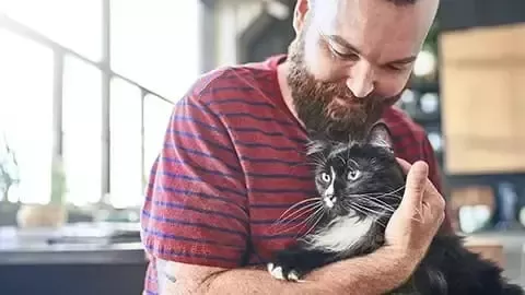Chica jugando con gato