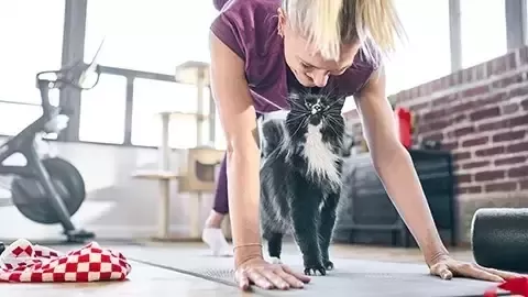 Niña abrazando a un gato