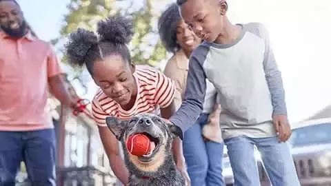 Alimentando perro con PURINA