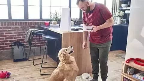 Alimentando perro con PURINA