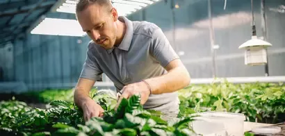 Nuevo instituto de investigación destinado a apoyar sistemas alimentarios sostenibles 