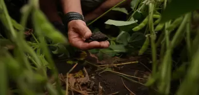 Garden Gourmet impulsa la transición hacia una agricultura regenerativa