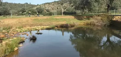 Nestlé reafirma su compromiso con los recursos hídricos y la biodiversidad acuática