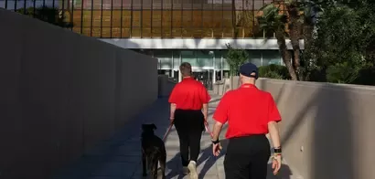 proyecto ‘Pasear Juntos es Mejor’