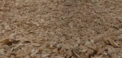 Astillas en un bosque recogidas por Nestlé