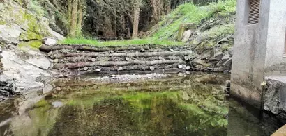 Restauración de cauce fluvial con barrera de troncos