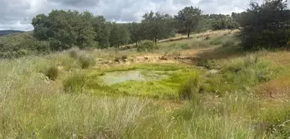 Turbera restaurada en la Reserva de la Biosfera de La Siberia