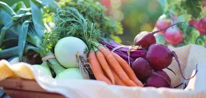 Iniciativa de alimentación de Nestlé con Fundación MacArthur